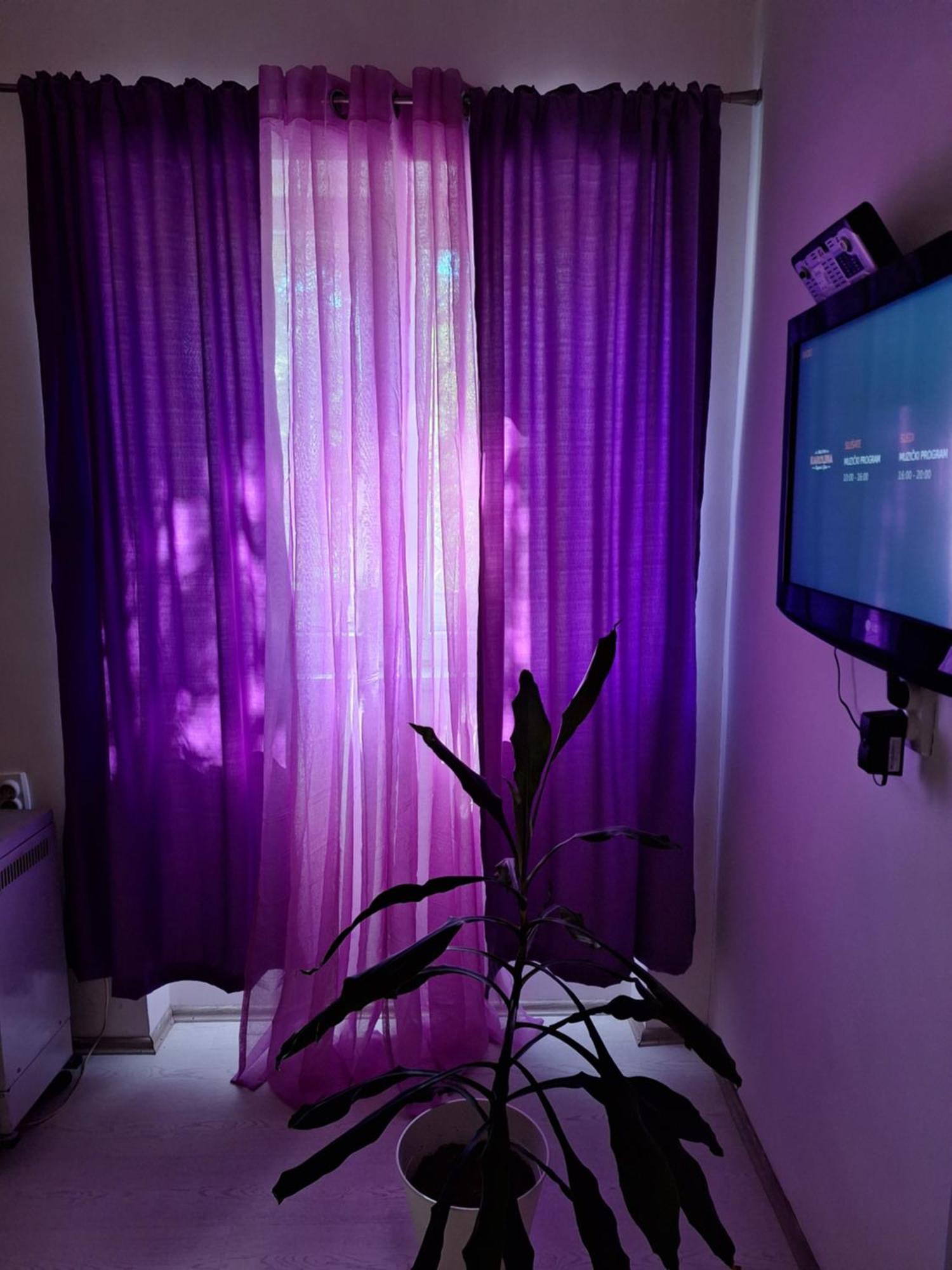 Ferienwohnung Apartman Maja Belgrad Exterior foto
